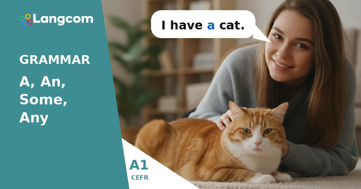 Understanding 'A', 'An', 'Some', and 'Any' in English (A1 Grammar) — A1 English grammar lesson by Langcom